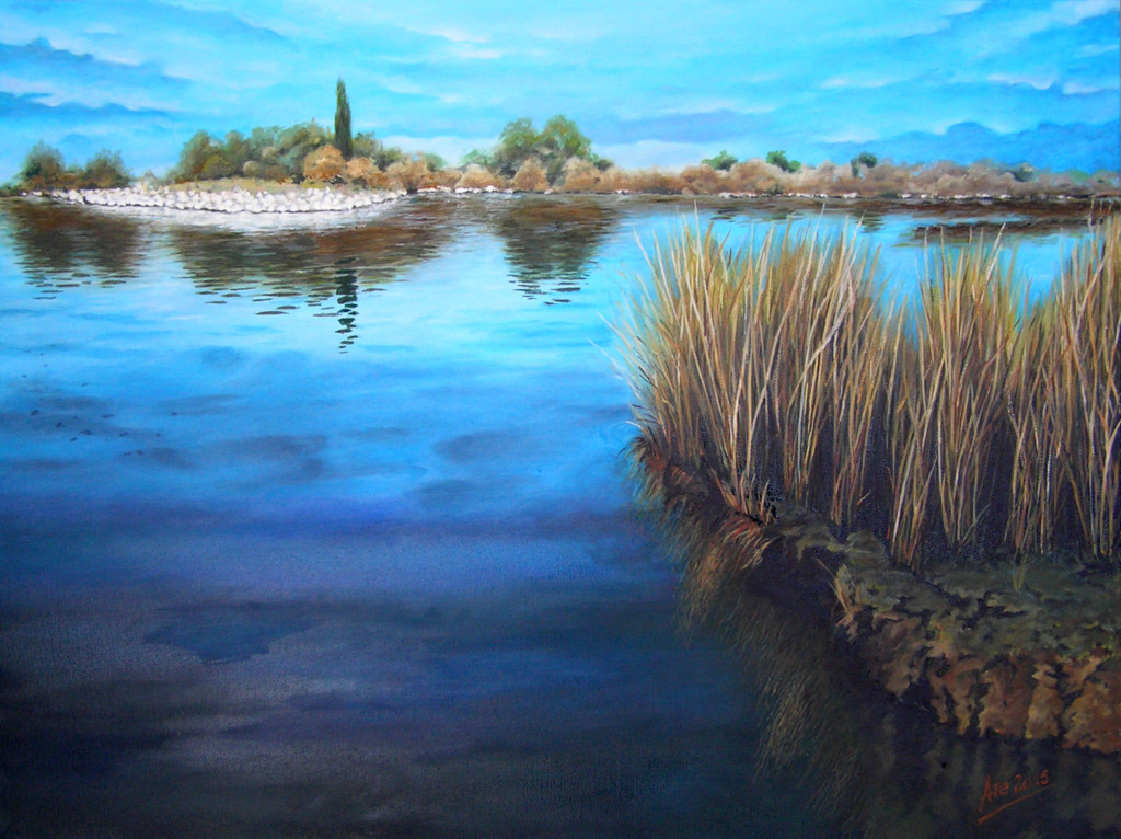 Tranquillità in laguna - Olio su tela Gallery 50x70